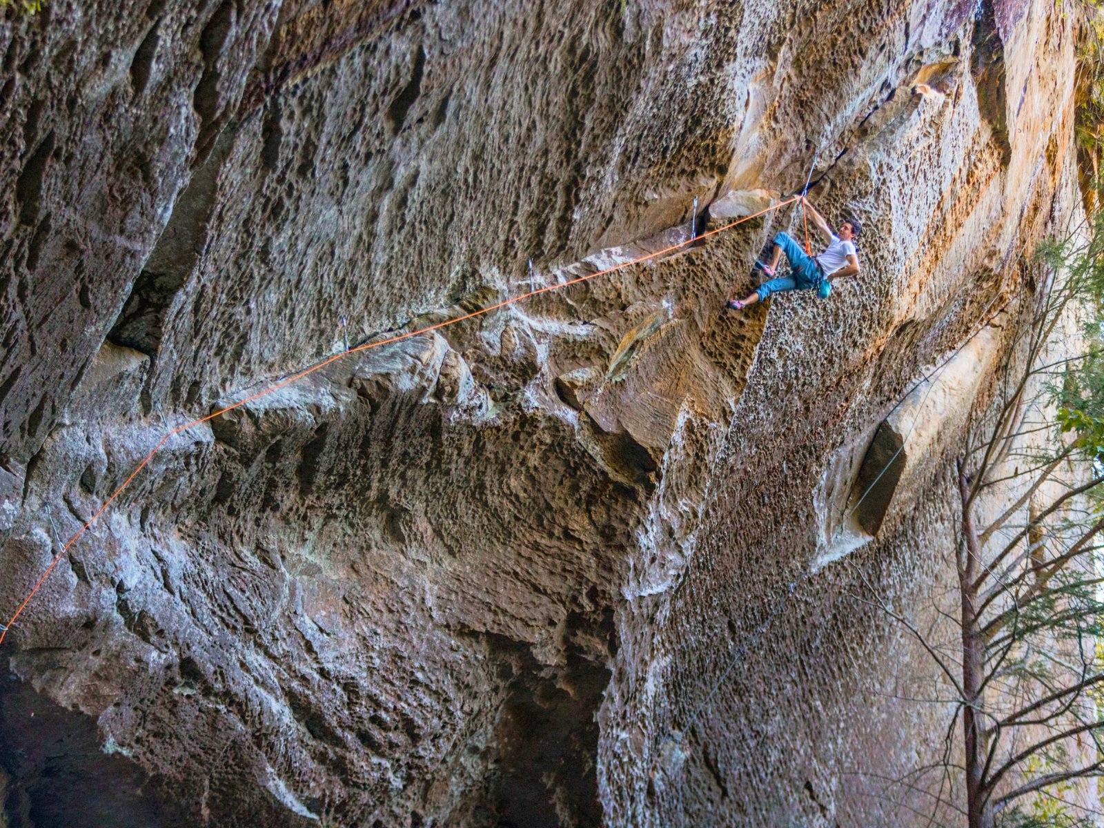 To Supplement or Not: Filling Dietary Gaps That May Be Holding You Back