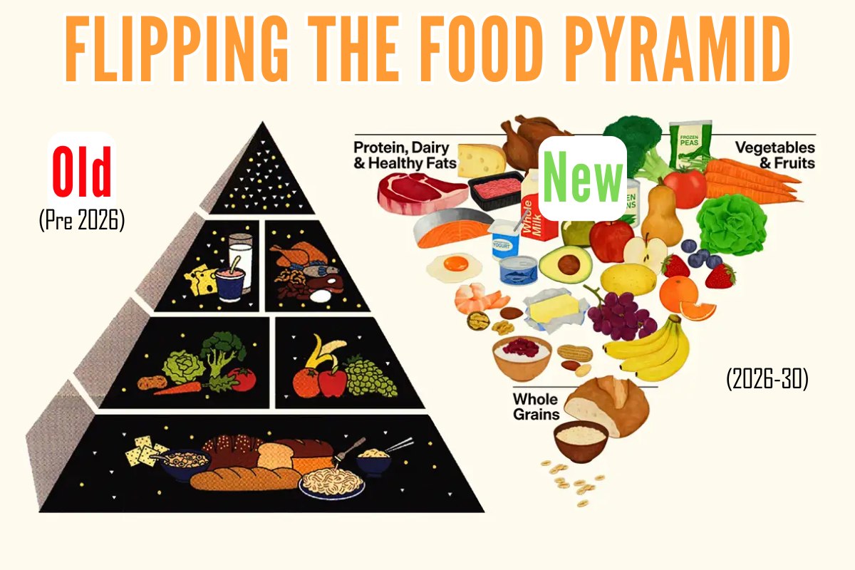 Flipping The Food Pyramid - Major Update to Nutrition Guidelines