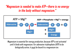 Mag-ATP™ - Cellular Energy System Support (Magnesium Malate 1000mg)